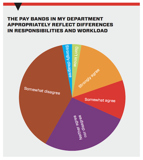 A pie chart showing responses to the statement: “the pay bands in my department appropriately reflect differences in responsibilities and workload”